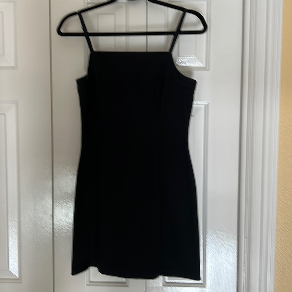 Express Stretch Spandex Dress